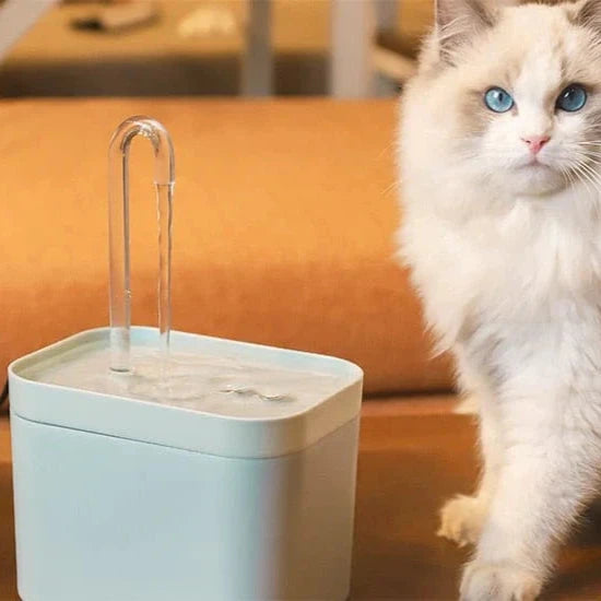 Drinkfonteintje voor een optimale hydratatie van uw kat