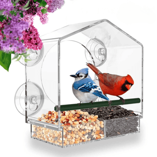 Premium Window Bird Feeder